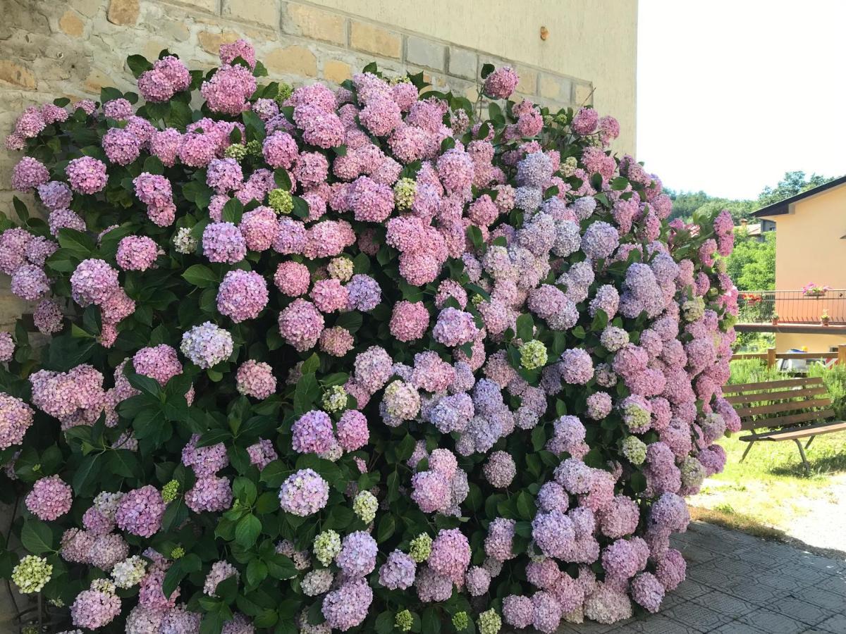 Casa Ortensia Chiusi della Verna Dış mekan fotoğraf